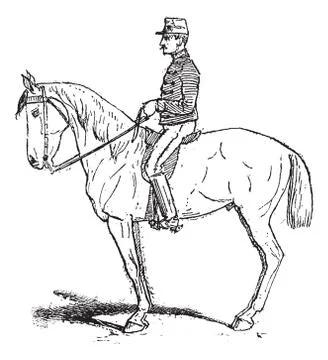 Rassembler, an exercise meant to increase mobility of the horse while trainin Stock Illustration