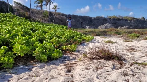 Rasta dreadlock man jogging on island Caribbean beach, 4K Stock Footage 132411545