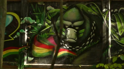 Rasta Graffiti on a Wall Stock-Footage 56445938