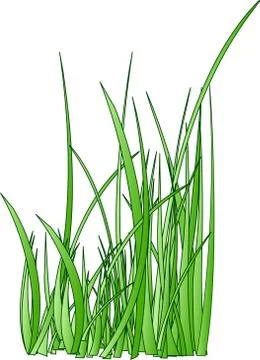 Raster. stylized grass silhouette Stock Illustration