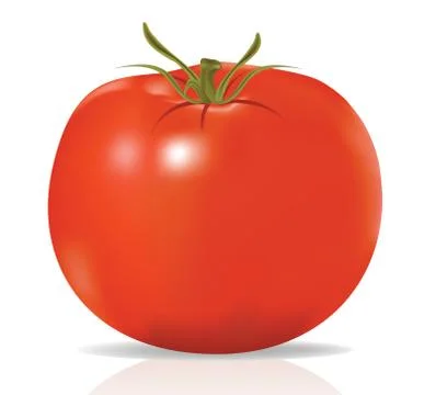 Raster. tomato Stock Illustration
