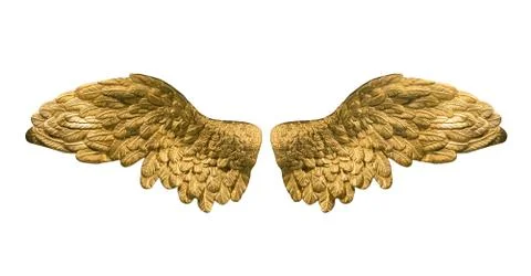 Raster version of golden wings イラスト素材