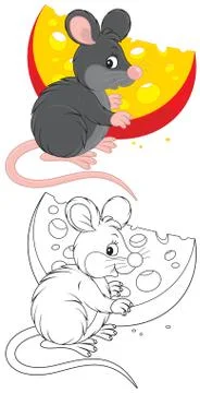 Rat and cheese Stock Illustration