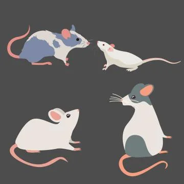 Rat breeds icon set flat style isolated on white Stock Illustration
