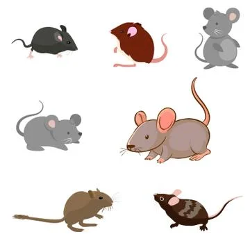Rat breeds icon set flat style isolated on white. Pet rodents collection Stock Illustration