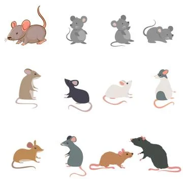 Rat breeds icon set flat style isolated on white Stock Illustration