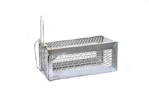 Rat cage trap 库存照片