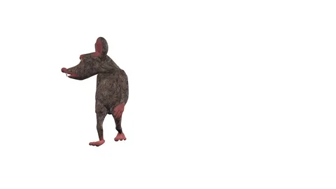 RAT CASUALLY WALKING AROUND Vídeos de archivo 99413567