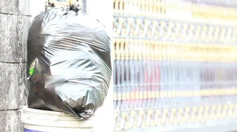 Rat in garbage Stock Footage 35675340
