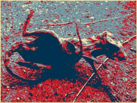 Rat I Stock Illustration