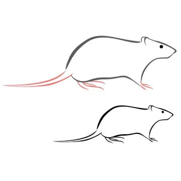 Rat Stock Illustration