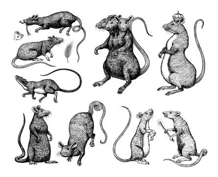 Lab Ratz Experiment 2 - Cartoon Rat - Sticker