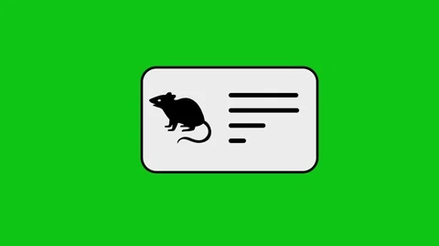 Rat laboratory inspection card animation on green screen background for pes.. Stock Footage 346496830