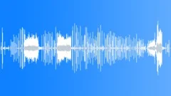 RAT, LARGESound Effect