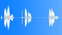 RAT, LARGESound Effect