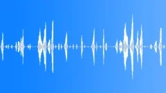 RAT, LARGESound Effect