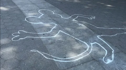 Rat outlined in chalk sidewalk murder homicide of mouse street police crime  Stock Footage 279868575