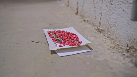 Rat Poison Pellets Granules for Killing Rodent Pest Mouse Left on Basement Floor Stock Footage 218300668