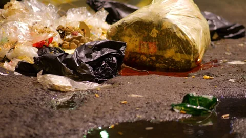 Rat rummaging through garbage bags at night Stock Footage 319013914