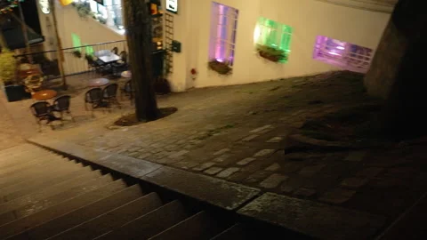 A rat running around on the streets of a Paris neighborhood at night. Stock Footage 243079850