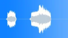 Rat scream 001 Sound Effect