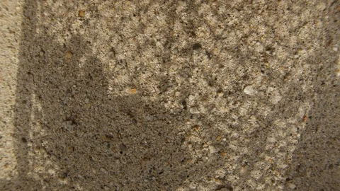Rat shadow in a cage in the sand Stock Footage 113349418