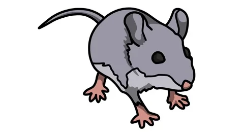 rat Sketch and 2d animation | Stock Video | Pond5