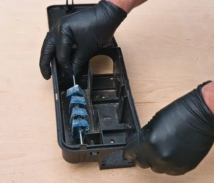 Rat trap bait box being prepared with rodent poison bait on the floor. Outd.. Stock Photos