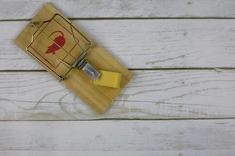 Rat trap with triangular piece of cheese Stock Photos