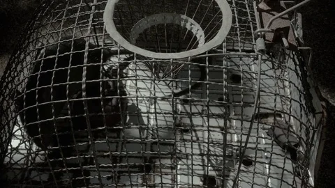 Rat trying to escape cage hand held Stock Footage 79696839