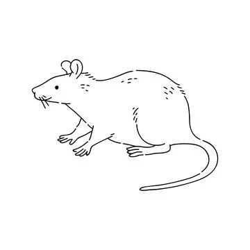 Rat vector doodle animal of Eastern astrological calendar black outline on white Stock Illustration