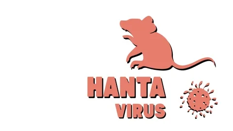 A rat, a virus molecule, and the name of the disease, hantavirus 動画素材 335471786