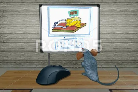 Rat Watching Computer Screen With Mouse, Concept