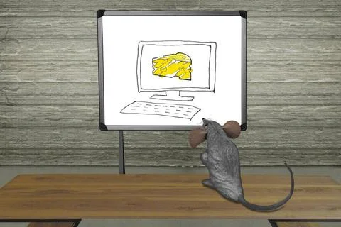 Rat watching Computer Screen with mouse, Concept Rat watching Computer Scr... Stock Photos