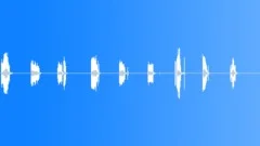 Ratchet 02Sound Effect