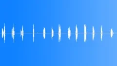 RatchetSound Effect