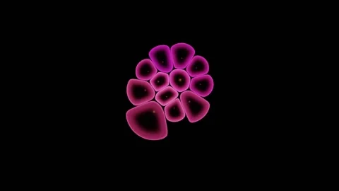 Ratiometric False Colour Maps Activity Across A Colony Stock Footage 344513074