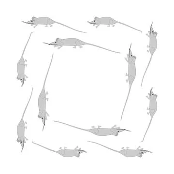 Rats and mice as design elements - stylized animals, fairy tales, children il Illustrazione stock