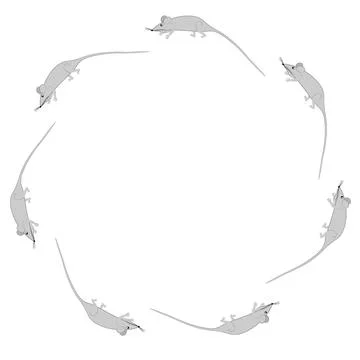 Rats and mice as design elements - stylized animals, fairy tales, children il Stock Illustration