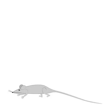 Rats and mice as design elements - stylized animals, fairy tales, children il Illustrazione stock