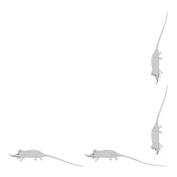 Rats and mice as design elements - stylized animals, fairy tales, children il Illustrazione stock
