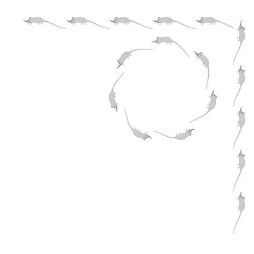 Rats and mice as design elements - stylized animals, fairy tales, children il Illustrazione stock