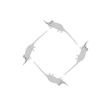 Rats and mice as design elements - stylized animals, fairy tales, children il Illustrazione stock