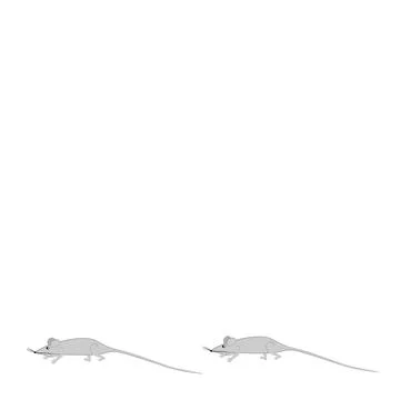 Rats and mice as design elements - stylized animals, fairy tales, children il Illustrazione stock