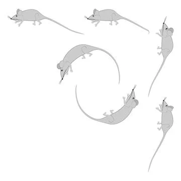 Rats and mice as design elements - stylized animals, fairy tales, children il Stock Illustration