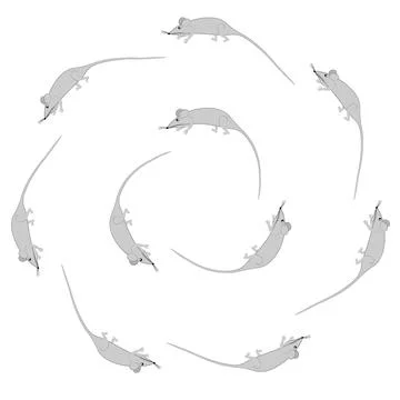 Rats and mice as design elements - stylized animals, fairy tales, children il Stock Illustration