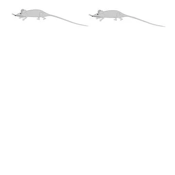 Rats and mice as design elements - stylized animals, fairy tales, children il Illustrazione stock