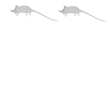 Rats and mice as design elements - stylized animals, fairy tales, children il Stock Illustration