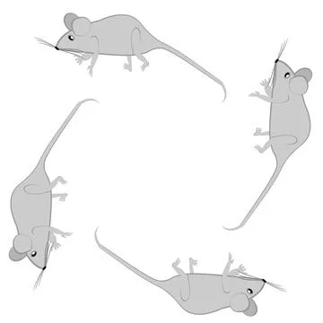Rats and mice as design elements - stylized animals, fairy tales, children il Stock Illustration
