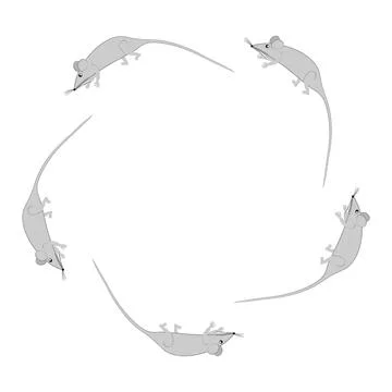 Rats and mice as design elements - stylized animals, fairy tales, children il Illustrazione stock